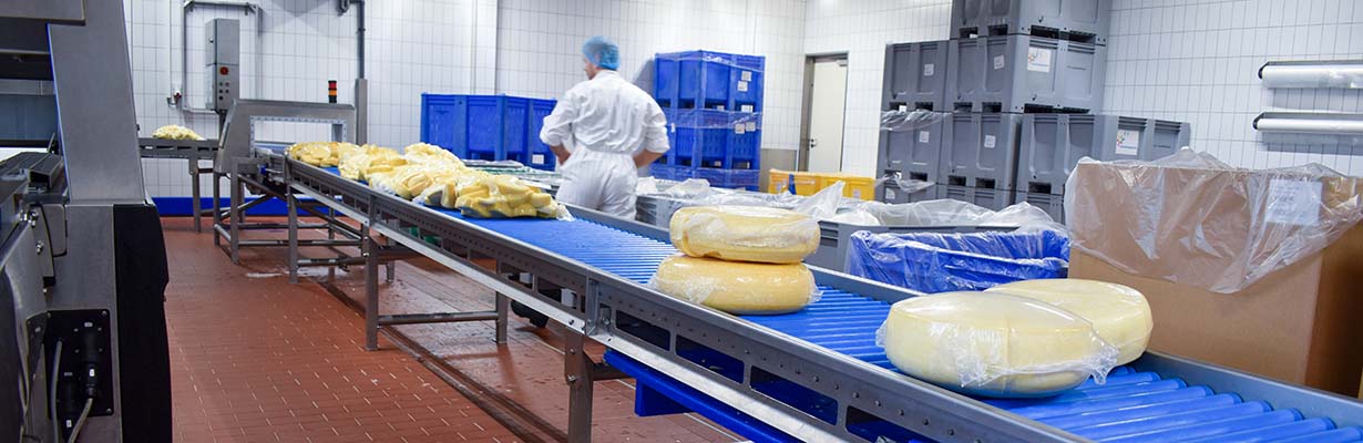 Pracovní nabídka Balení sýrových snacků Sliedrecht